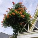 手机用户5216_2gki