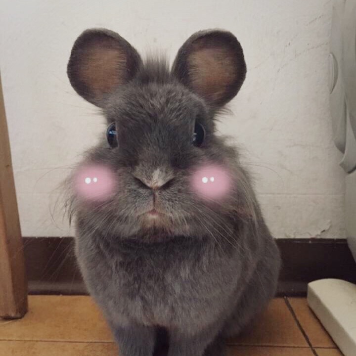 jinyihannn