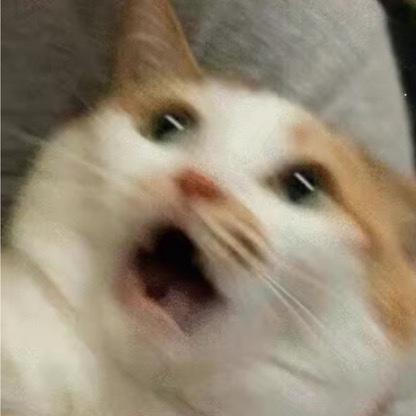 喵咪咪咕ss