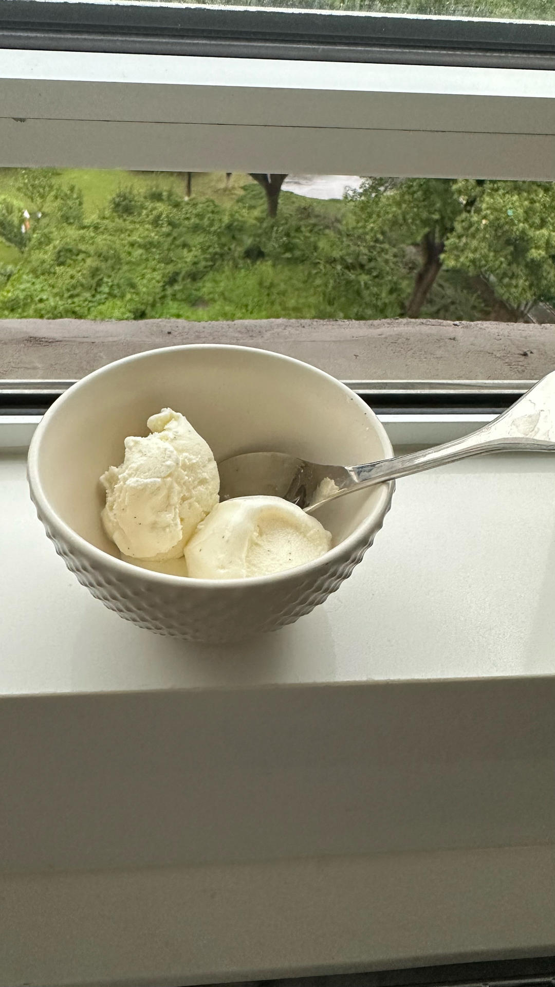 【附无冰淇淋机版】牛奶之花 超浓郁牛乳意大利低糖低脂冰淇淋Gelato fior di latte