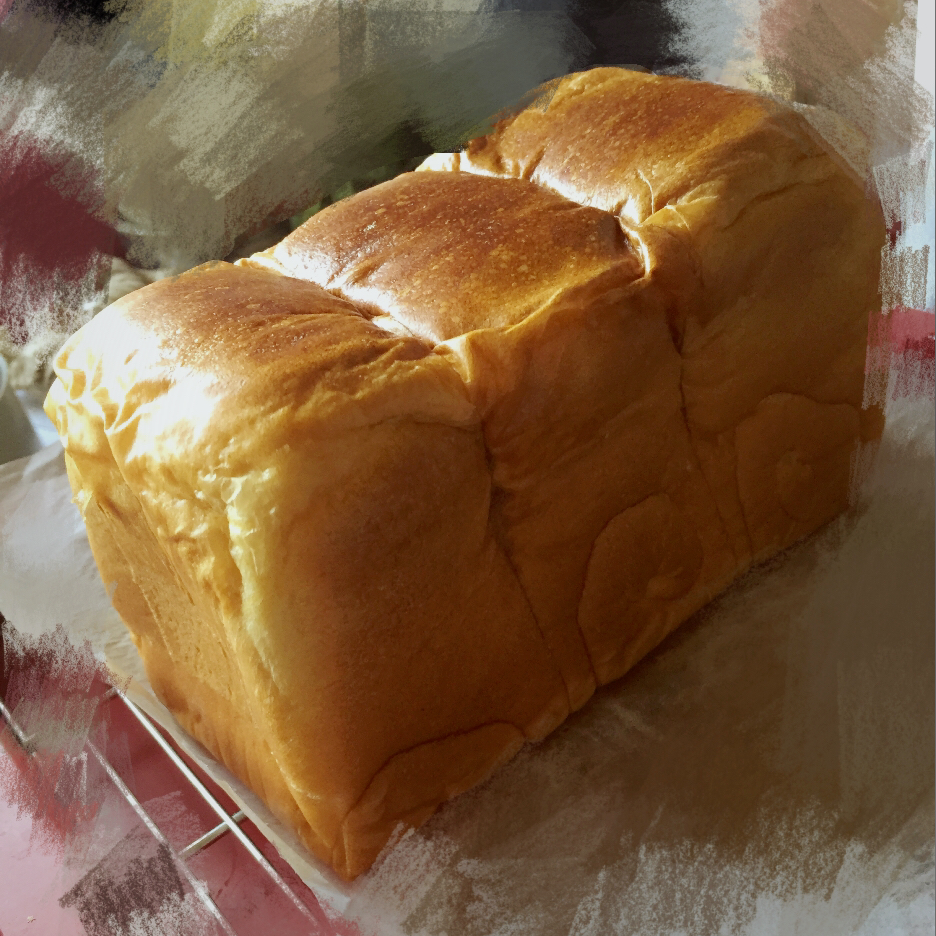 基础面包制作 Basic Bread (Loaf&Roll)