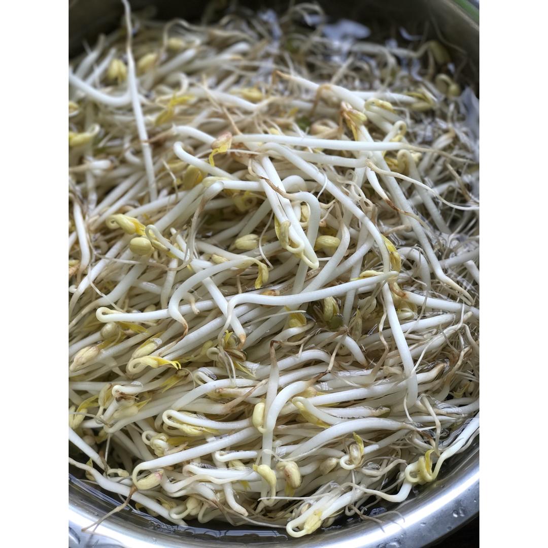红薯粉丝煲 Glass Noodle Hotpot