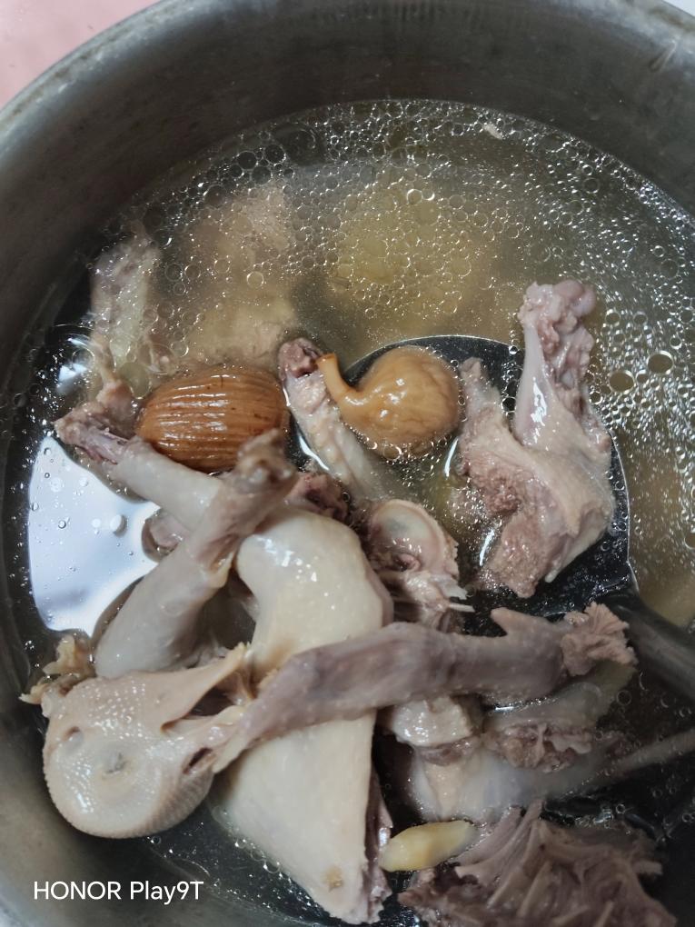 儿童成长鸽子汤