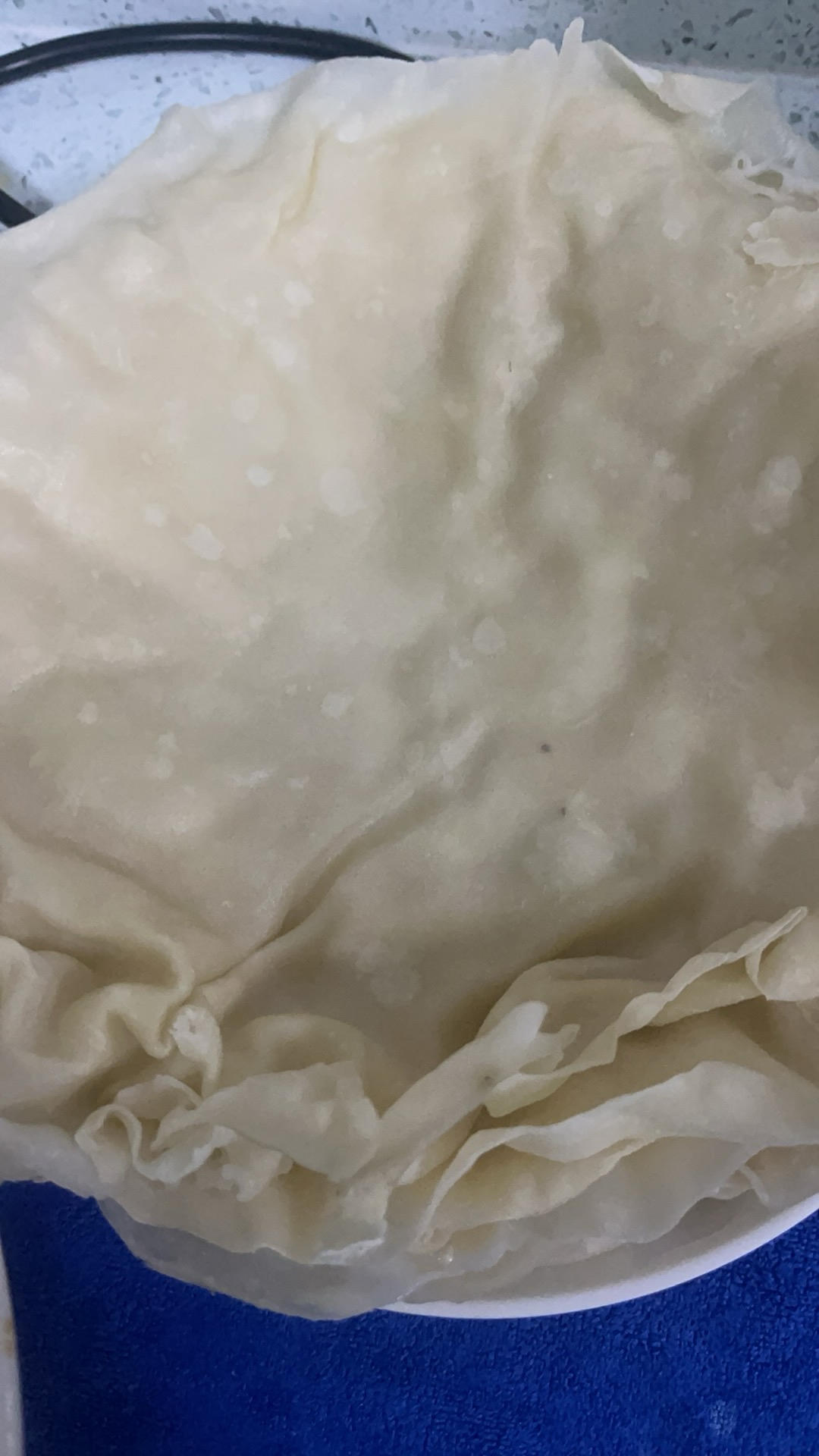 卷菜我最爱水烙馍（河南人最后的倔强👀）