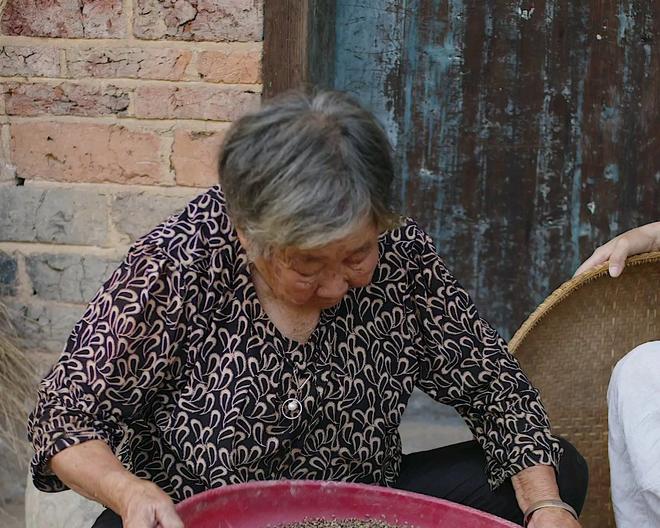 传统苦荞麦粑粑，老一辈人的饱腹主食，蒸鸡吃是湖南地道家常菜！的做法