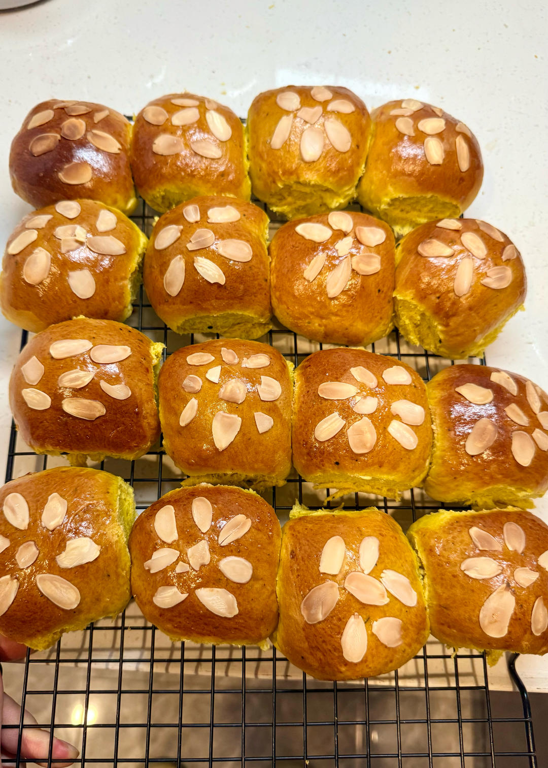 南瓜奶油小餐包（一次发酵）