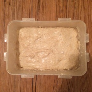 五分钟欧式面包（Five-minute Artisan Bread)的做法 步骤3