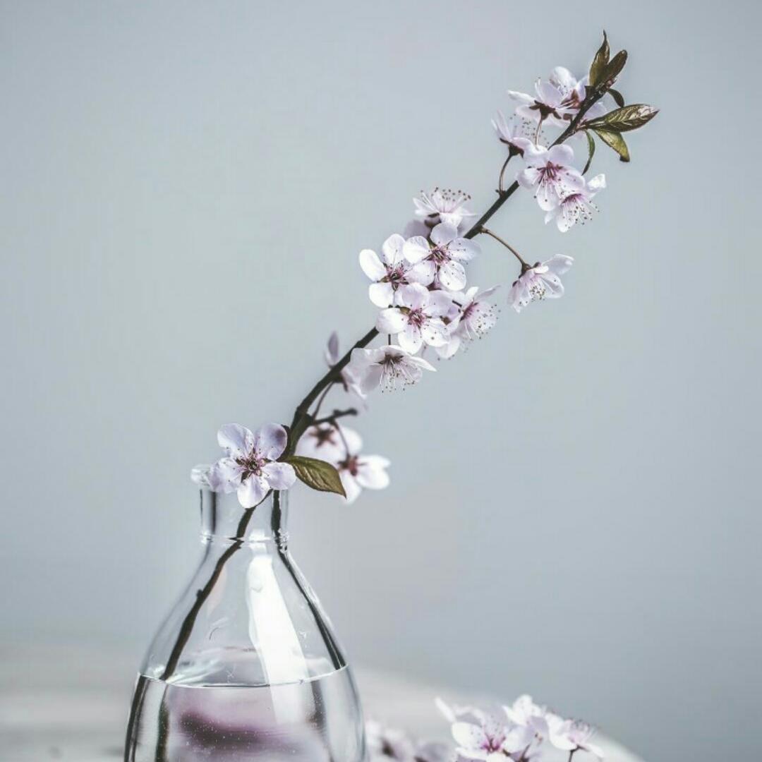 zhu常在心