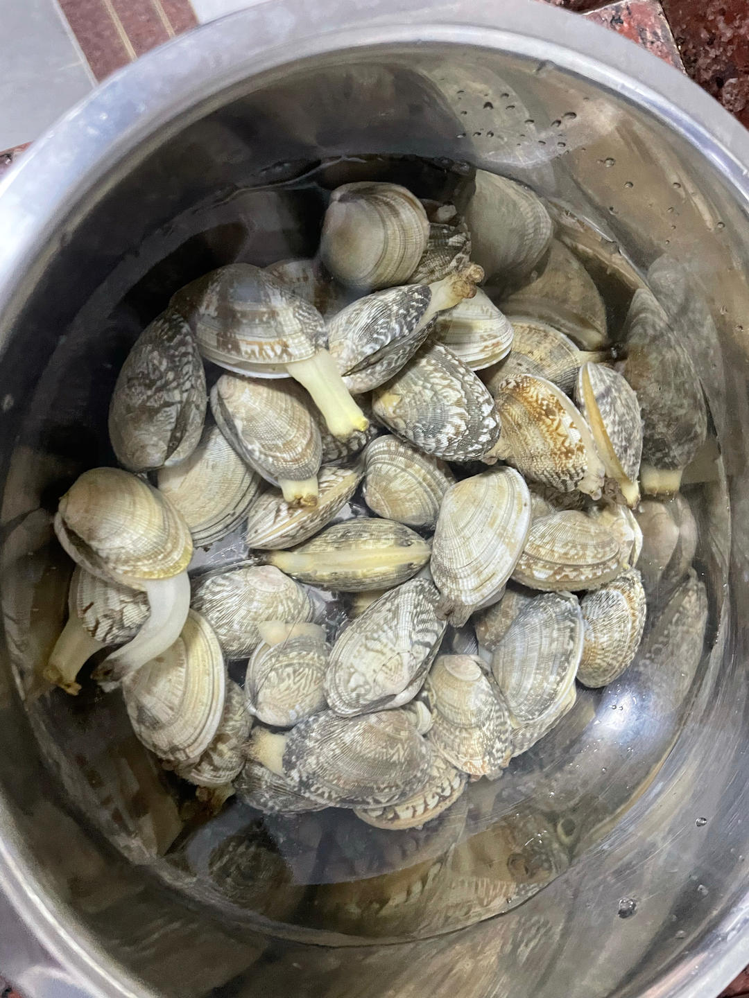 白蛤豆腐汤