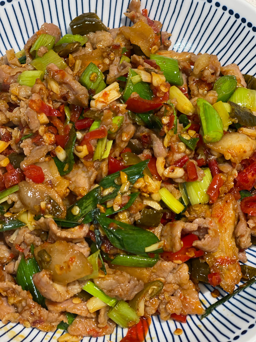 坛子辣椒肉炒肉（自制酸辣椒版）的做法