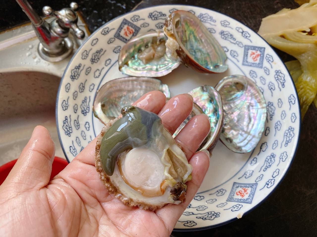 秋季润燥靓汤🍃石斛鲍鱼橄榄排骨汤的做法 步骤1