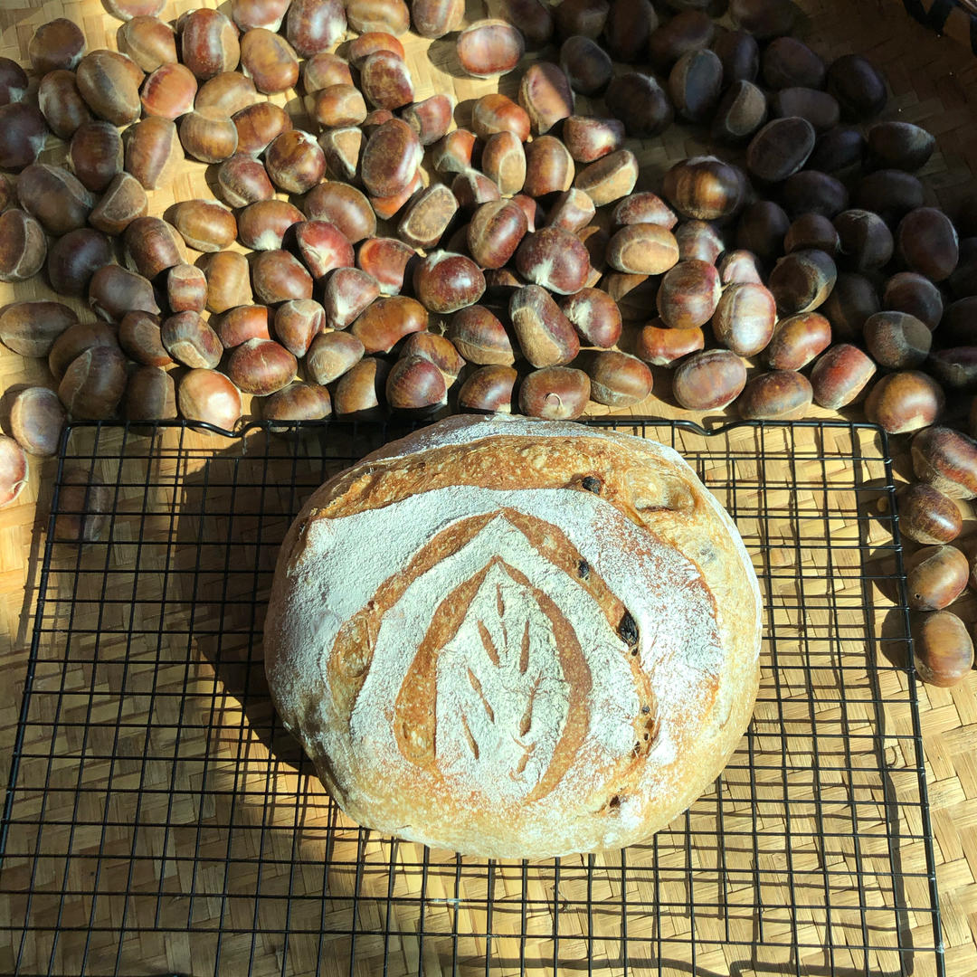 【不藏私食谱：黑麦乡村欧包】不加一颗糖，减脂必备