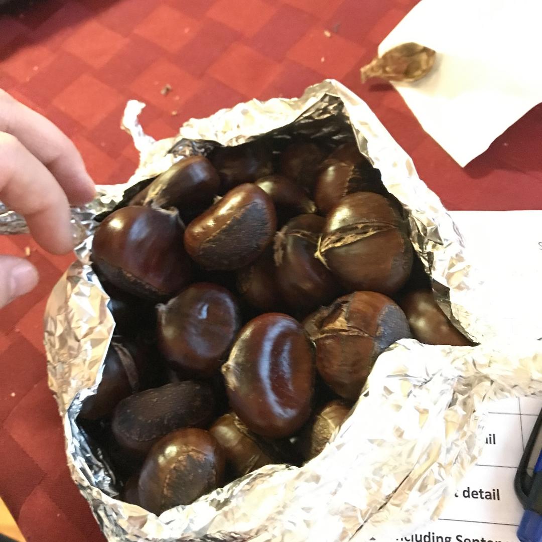 慵懒美丽的栗子