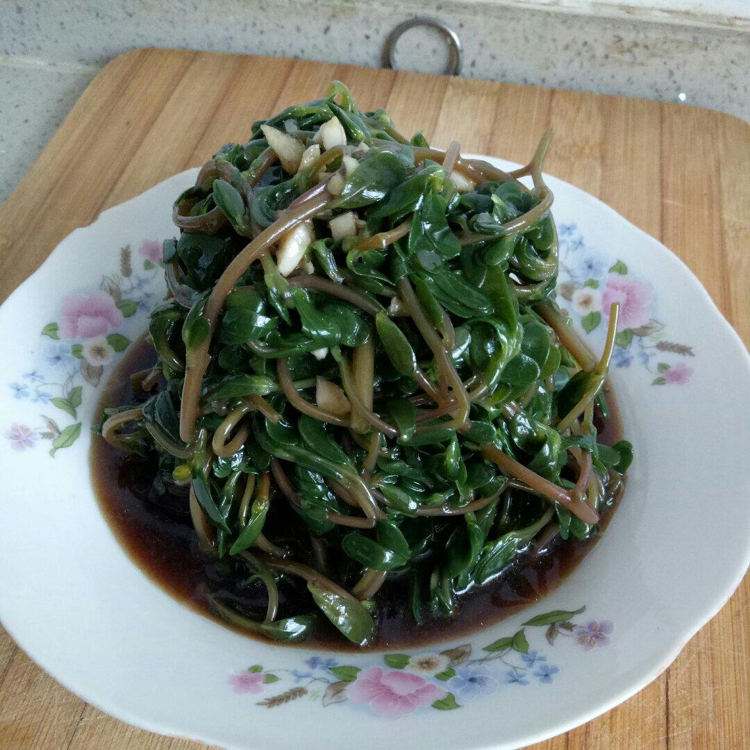 爱捣鼓的女人做的凉拌马马菜凉拌马齿苋