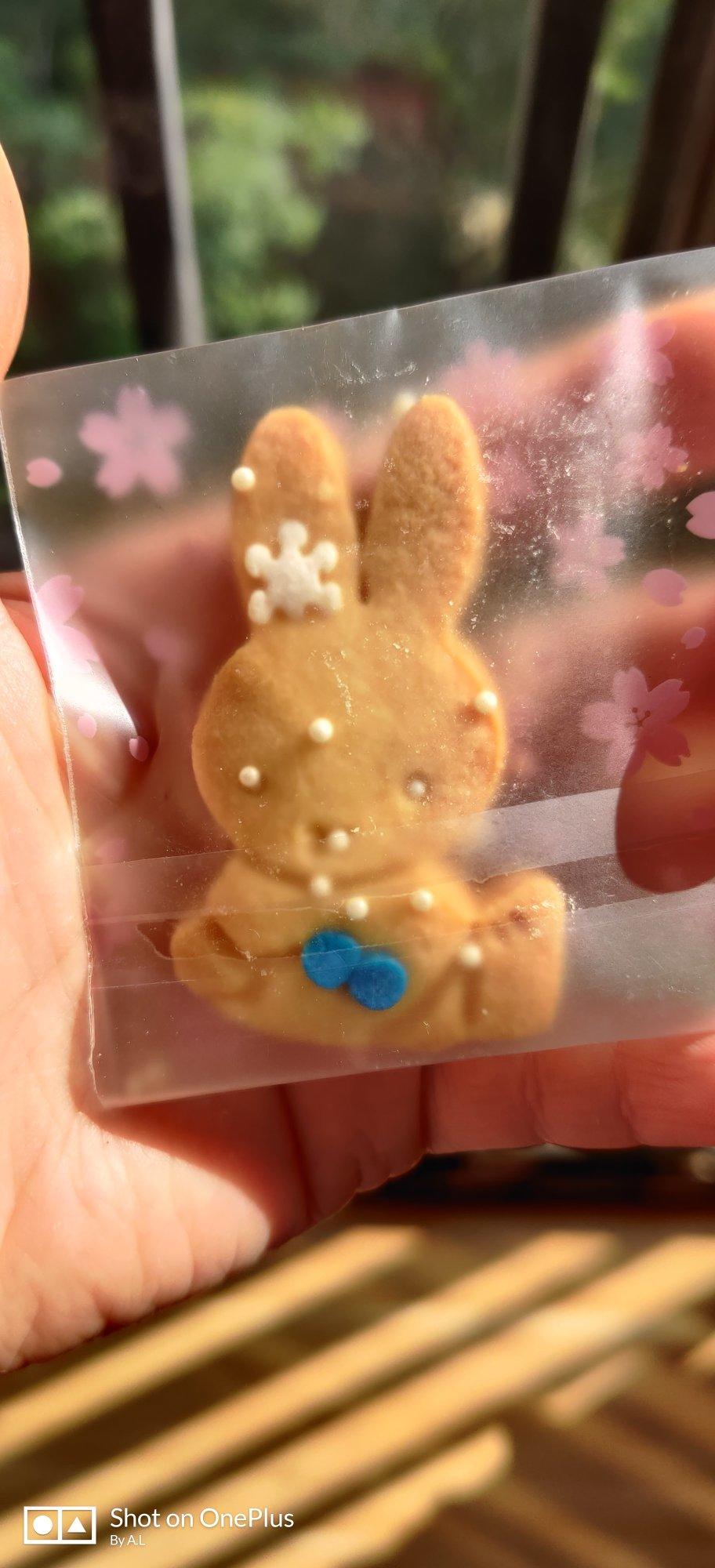 《Tinrry+》圣诞节糖霜饼干