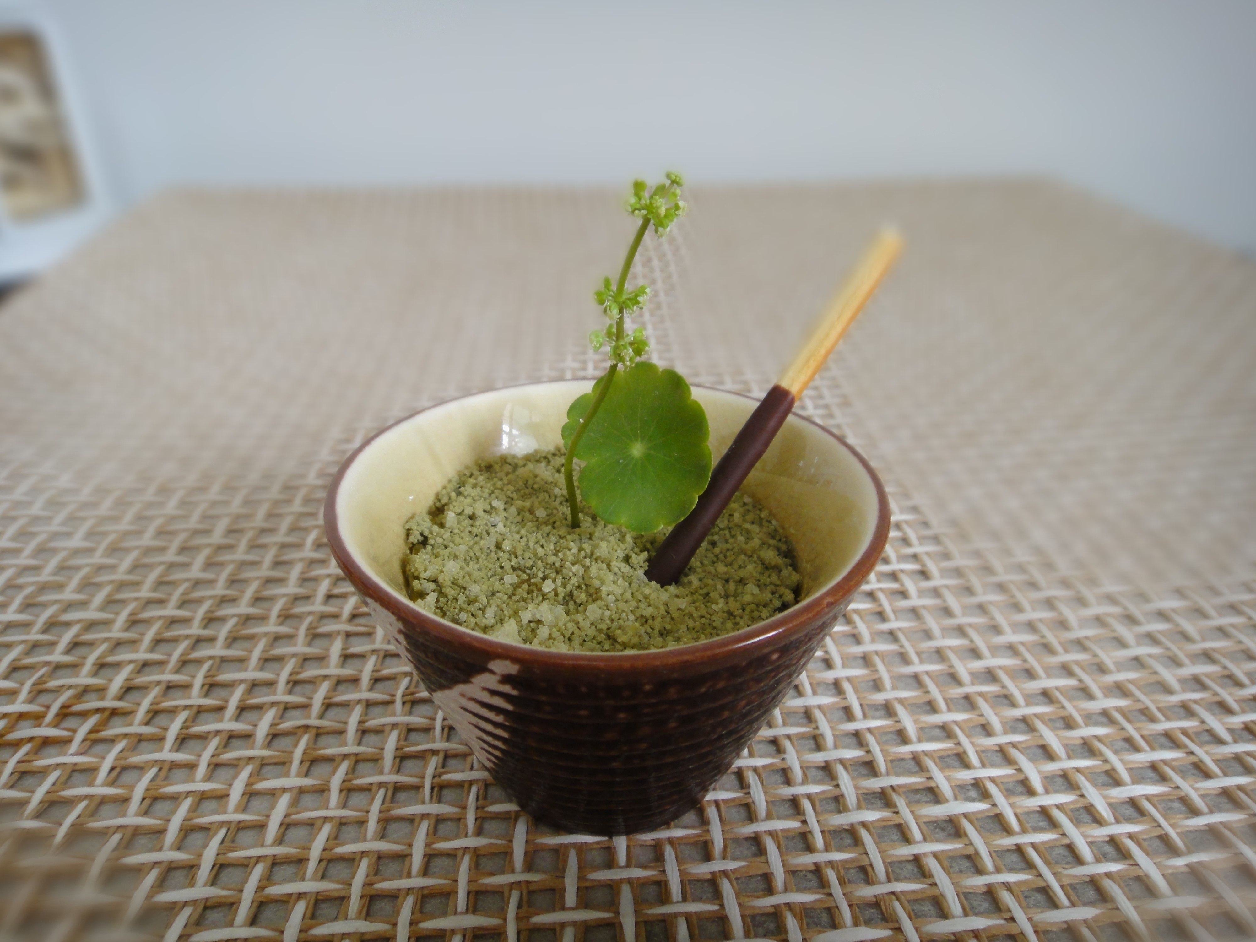 绿茶布丁盆栽的做法