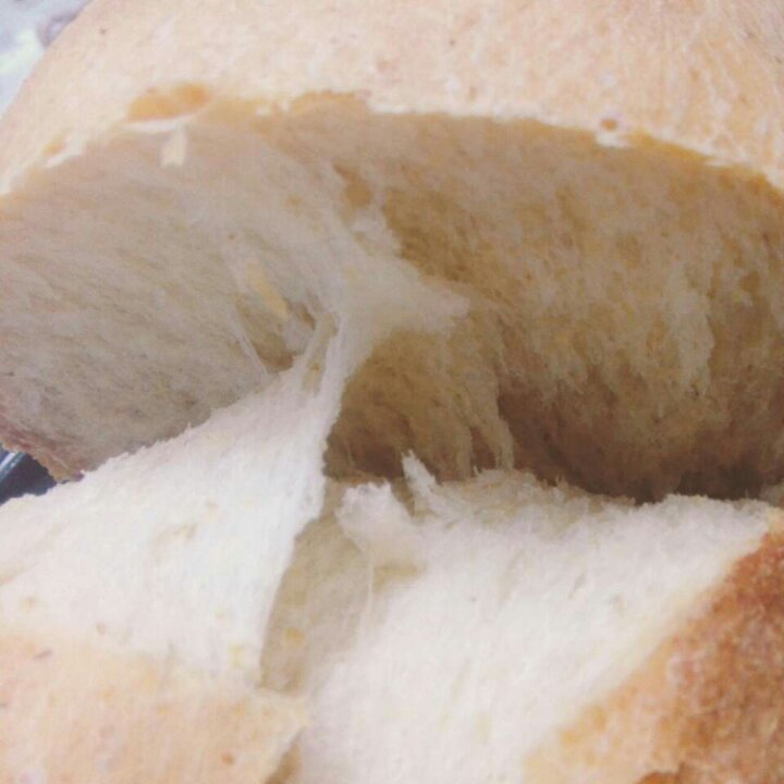 夺命软吐司(๑´ڡ`๑)超软拉丝极速方便的一次发酵吐司