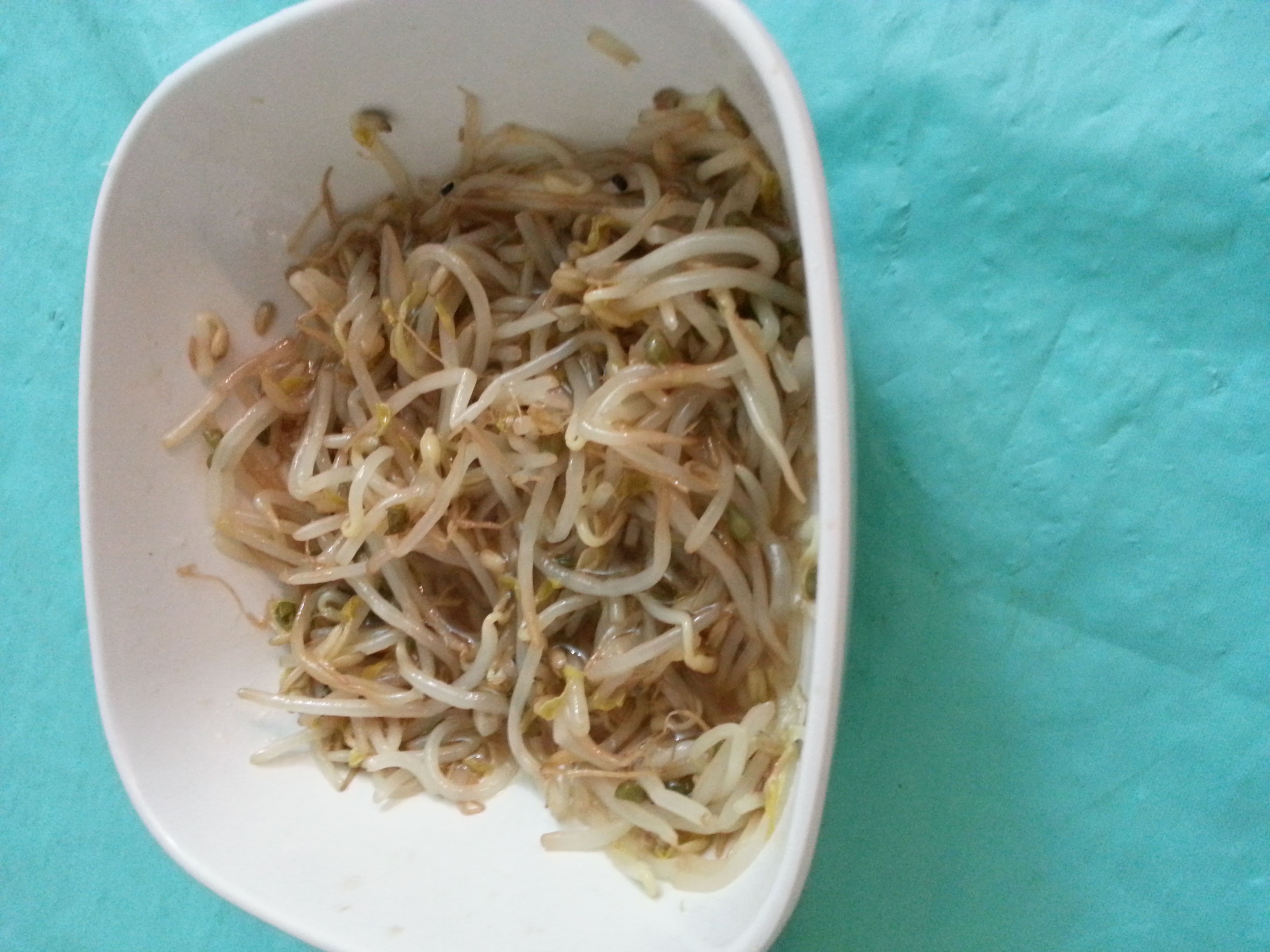 凉拌有机豆芽