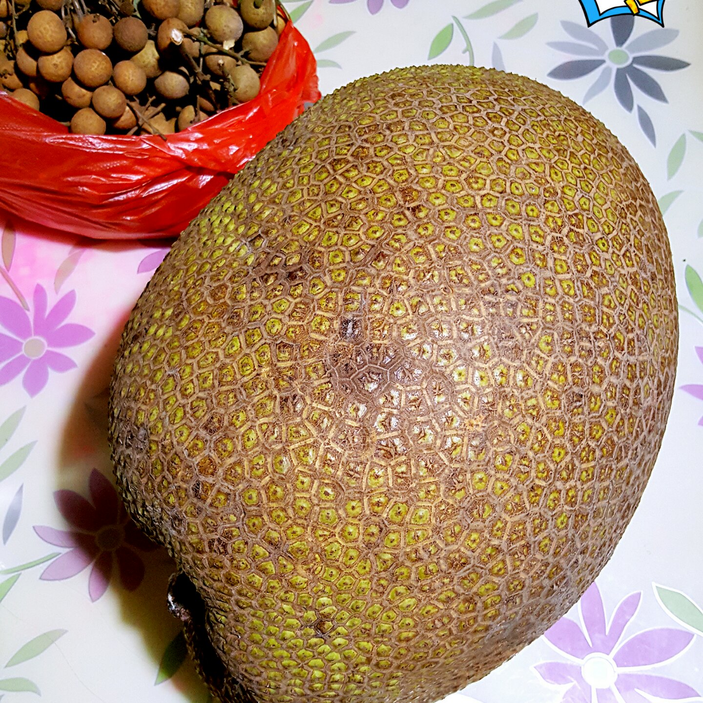 美丽食材