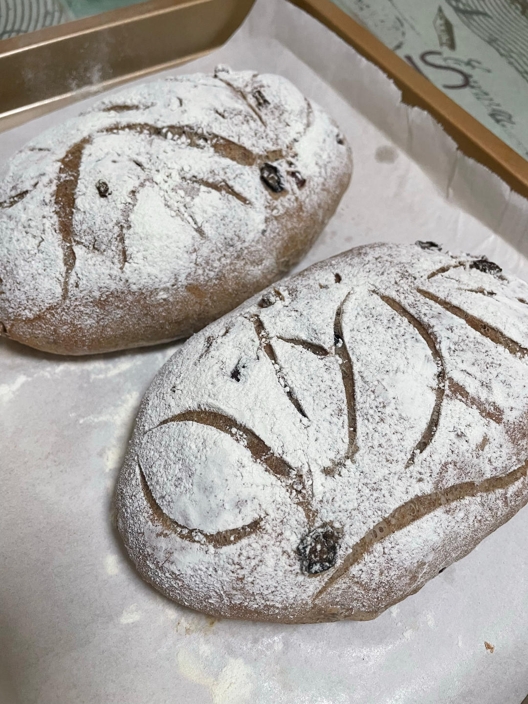 全麦蔓越莓核桃软欧包