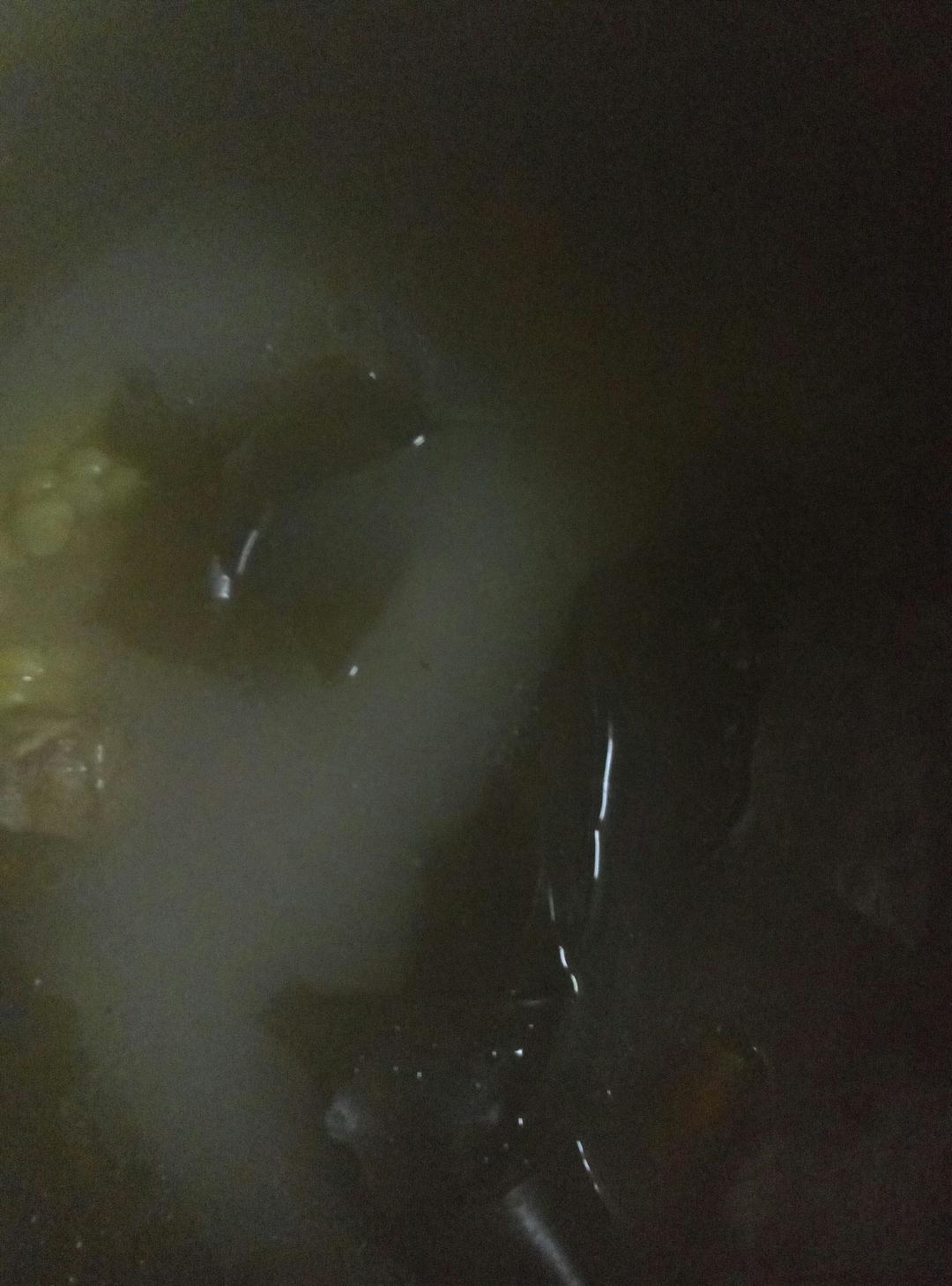 海带龙骨老火汤