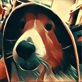 Low爆厨房