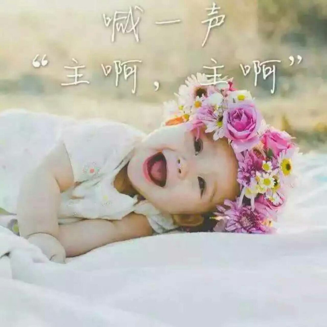 手机用户6007_lmn