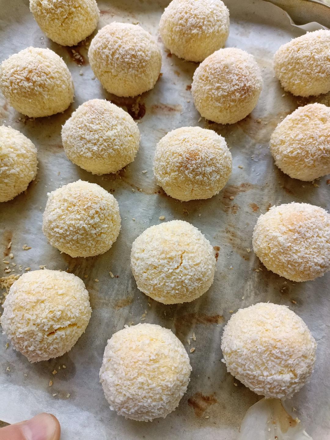 金丝椰蓉球-萌萌哒