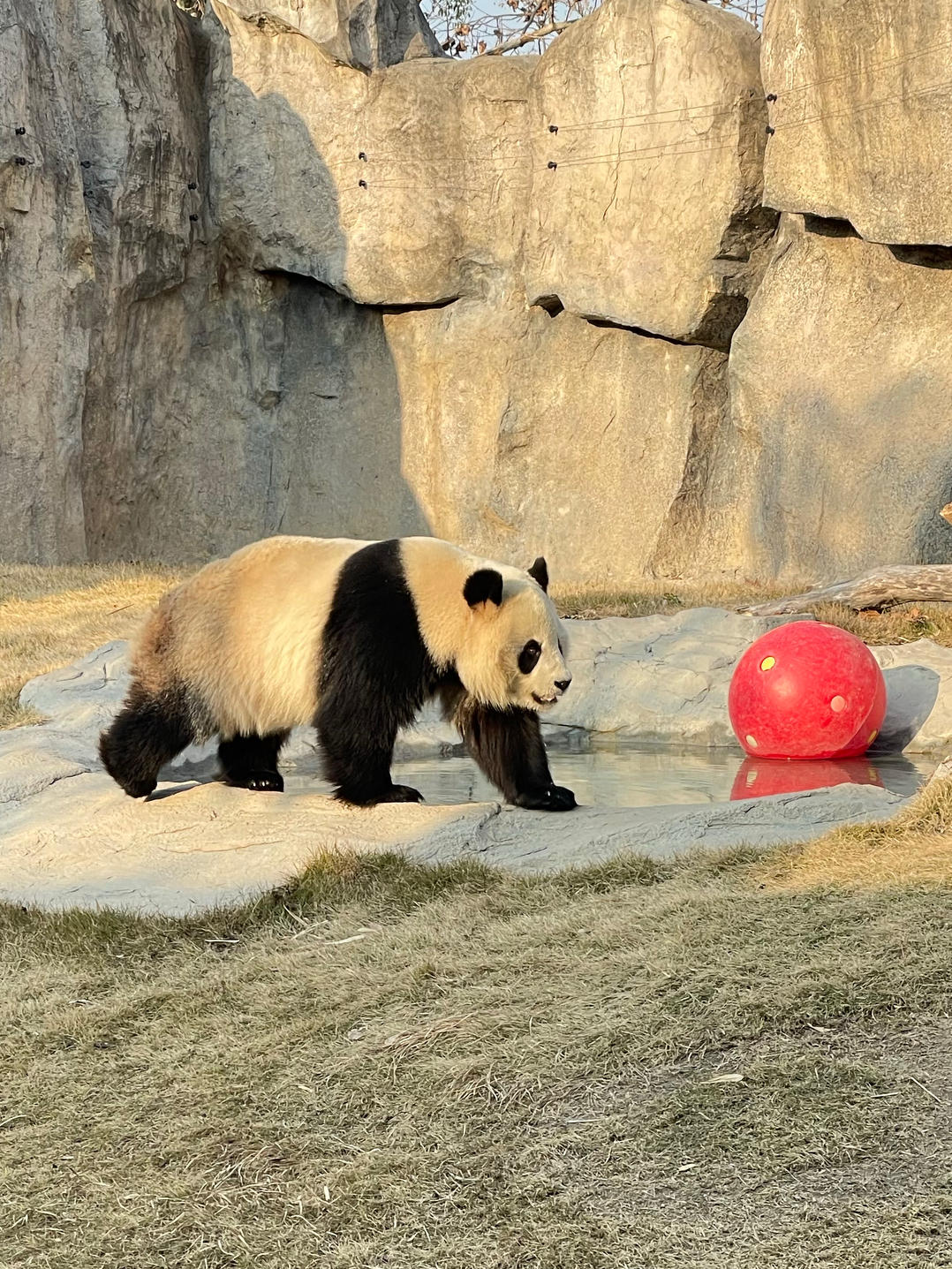 黄小丫丫子的厨房