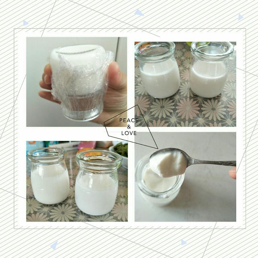 无需酸奶机的自制酸奶