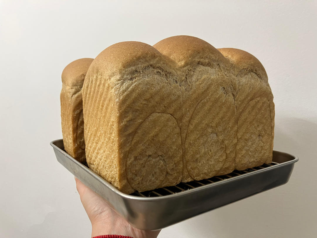 减脂｜无糖全麦吐司🍞，无糖全麦也能长得高