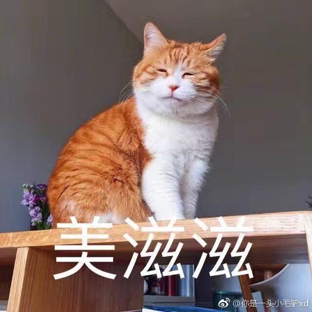 小鱼干好好吃