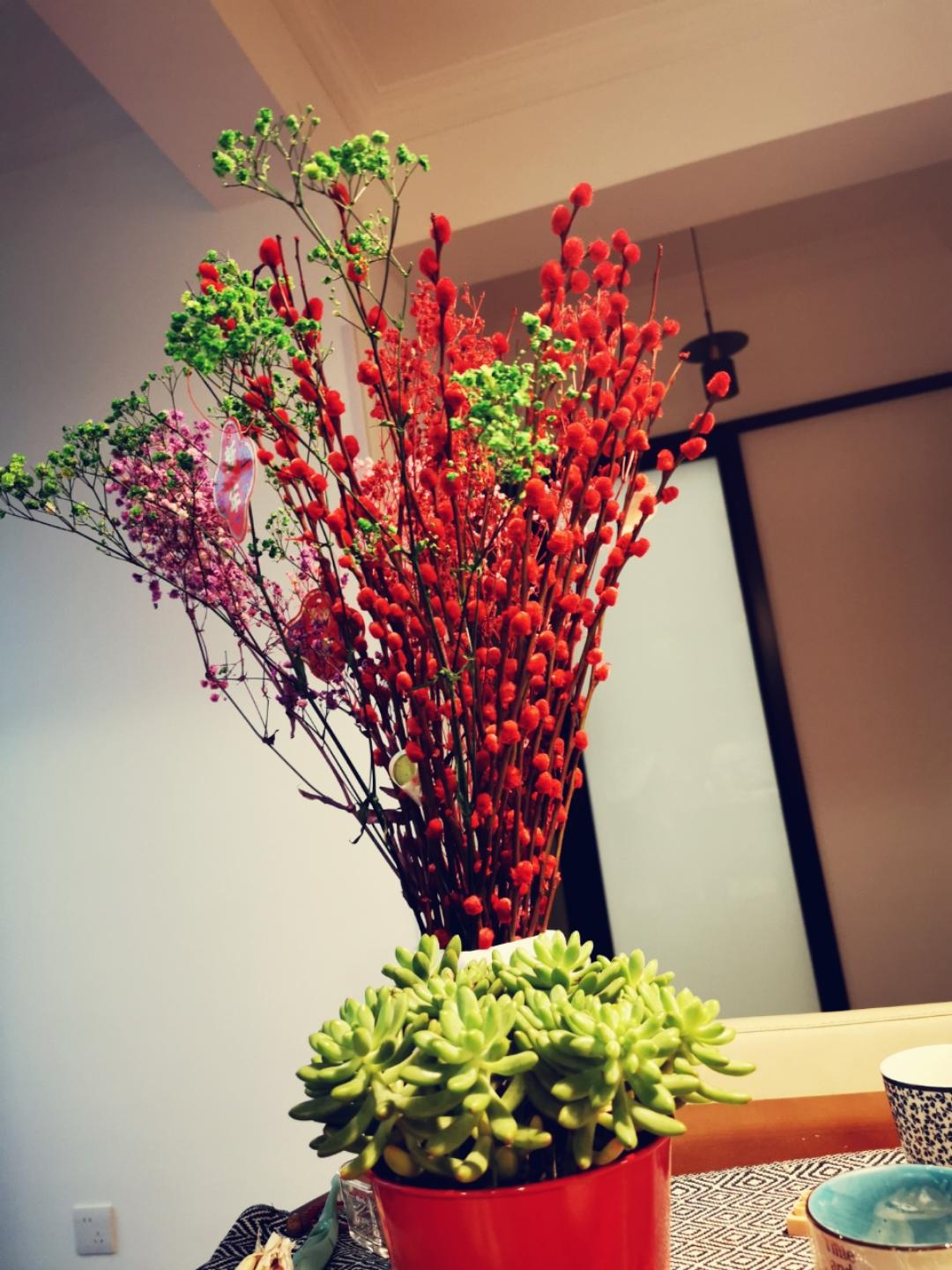 清妈的一片小空间
