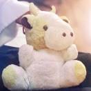 贪吃牛12的厨房