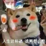 陪你去看云海的凉小千岁