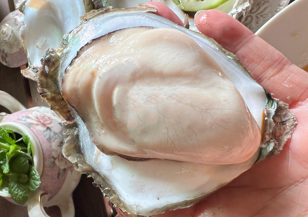 鲜嫩爆汁蚝气十足丨简单蒸生蚝