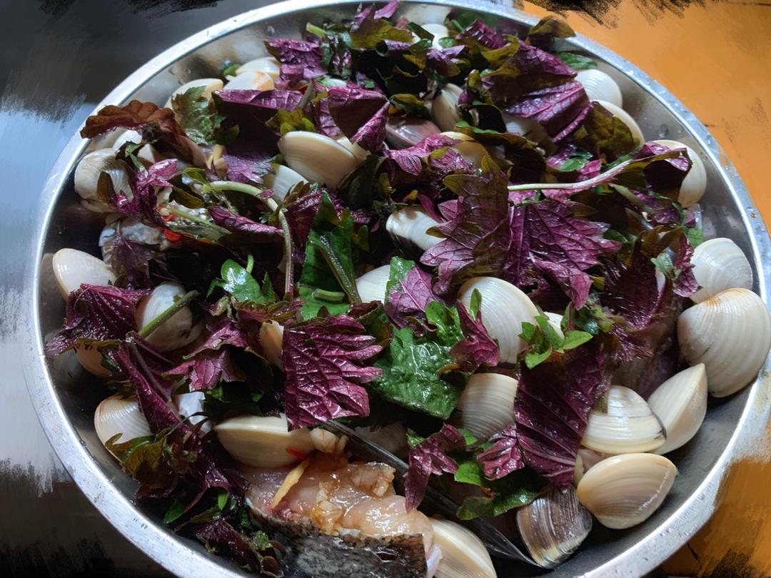 够劲的紫苏贝壳蒸鱼头