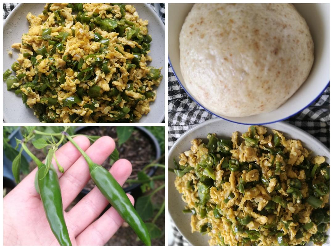 辣椒炒鸡蛋-超级下饭、下馒头的做法