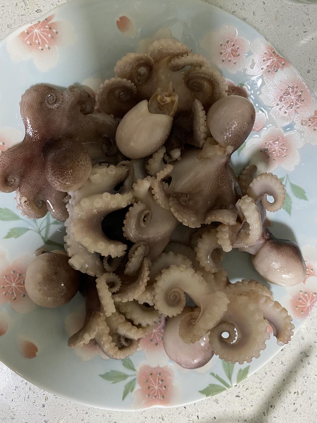 白灼营养好吃又简单的
短腿八爪鱼