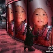 南汇兔宝