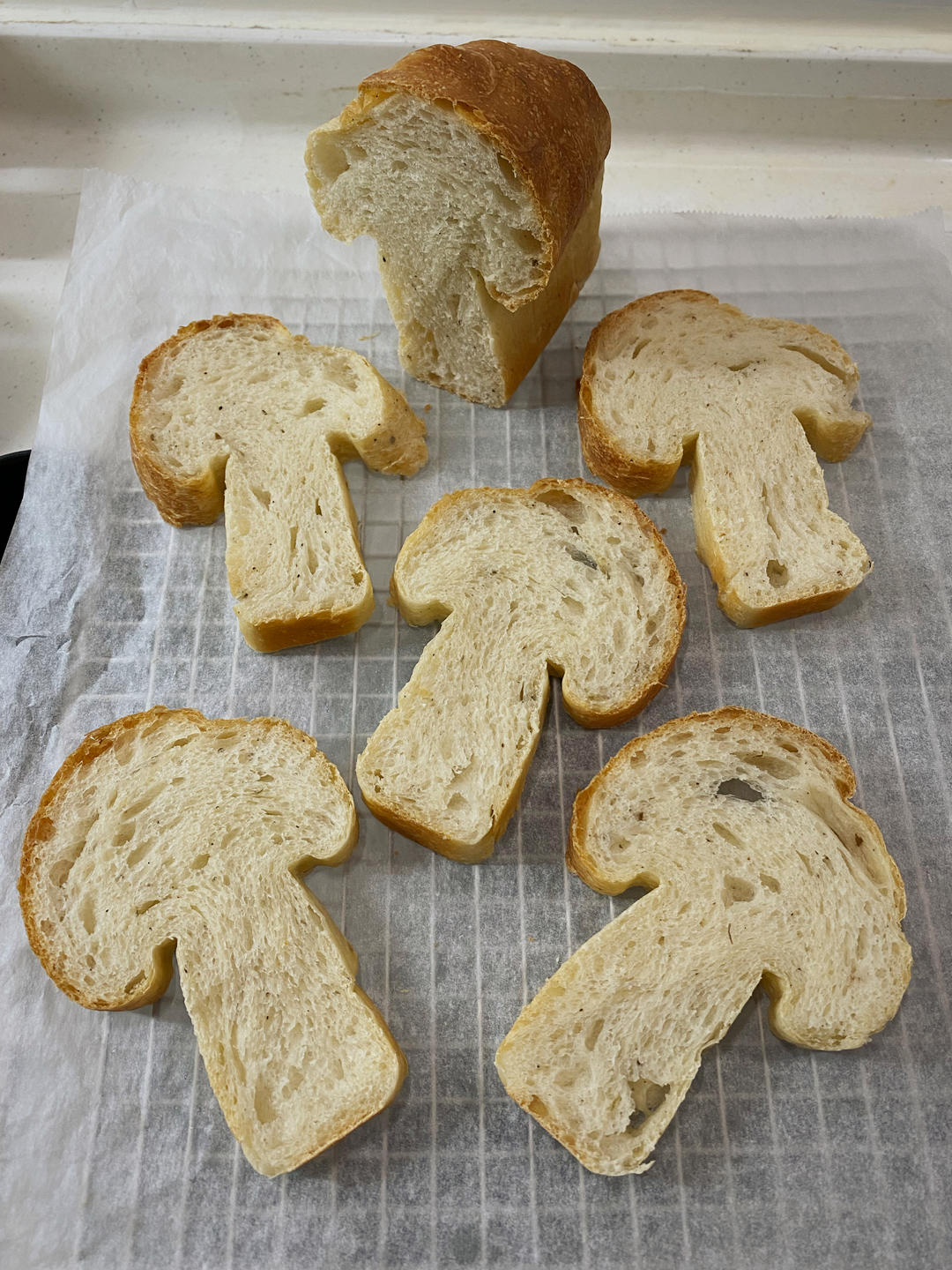 鲁邦种椒盐庞多米-超详细视频