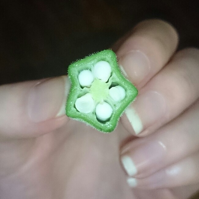 白灼秋葵