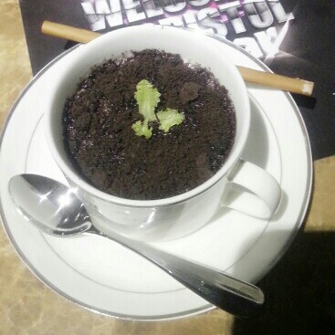 盆栽奶茶
