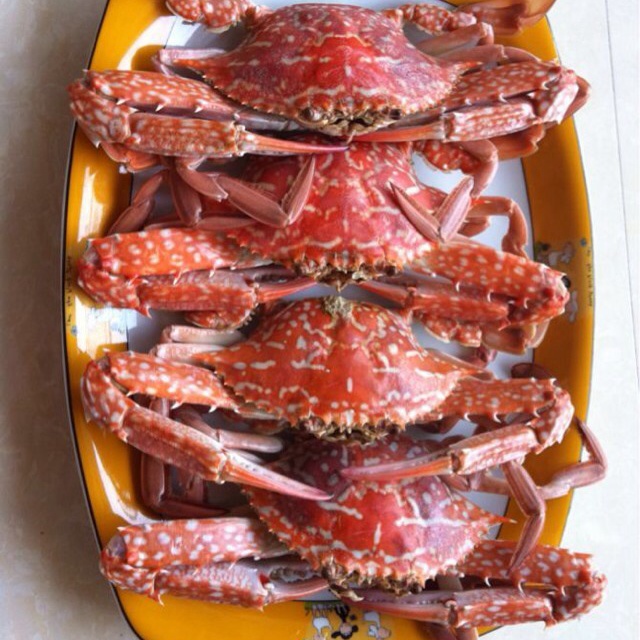 清蒸梭子蟹（怎样蒸蟹脚不会断）