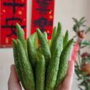 施予恒丰