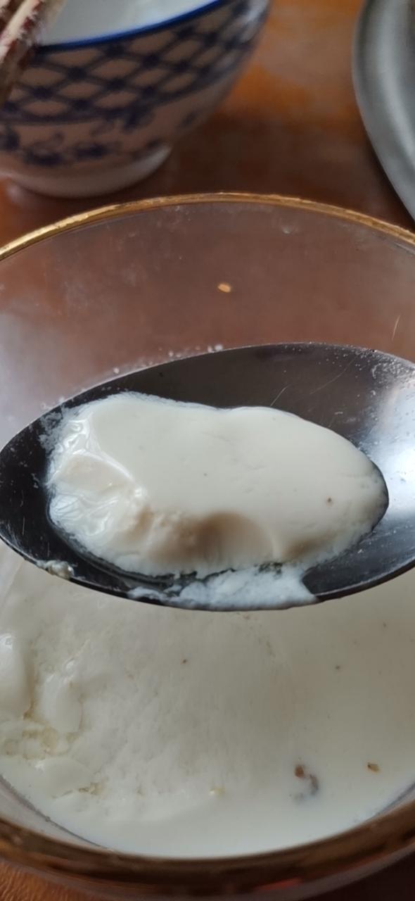 姜撞奶（传统制法，附失败解决方案）