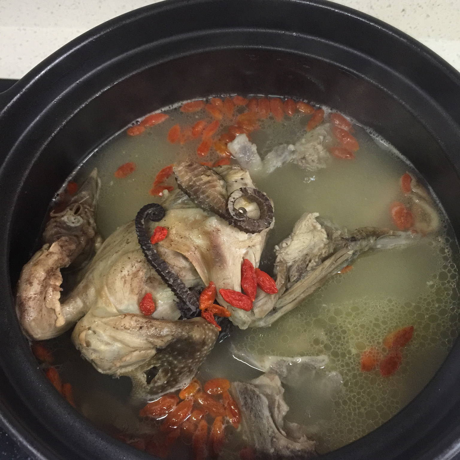 海马鸽子汤