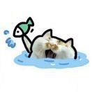 给儿子做好吃的菜