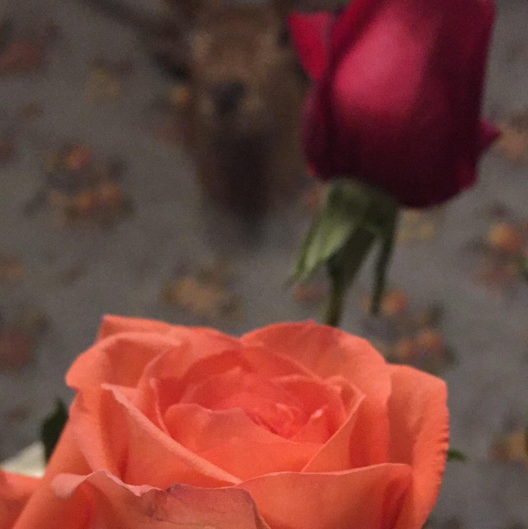 爱心开来