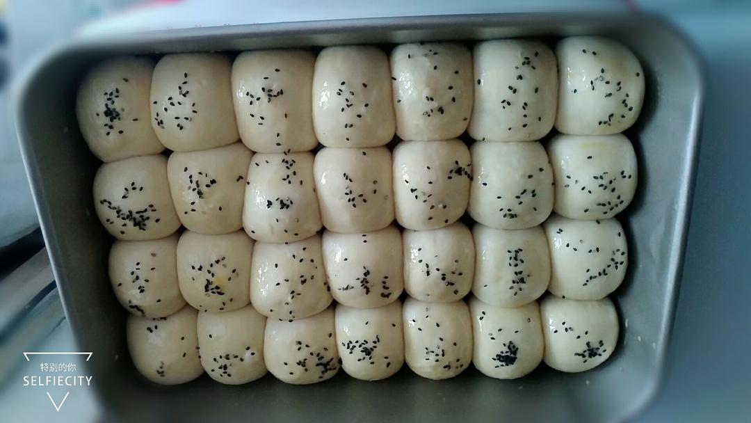 鲜奶油小餐包（一次发酵）